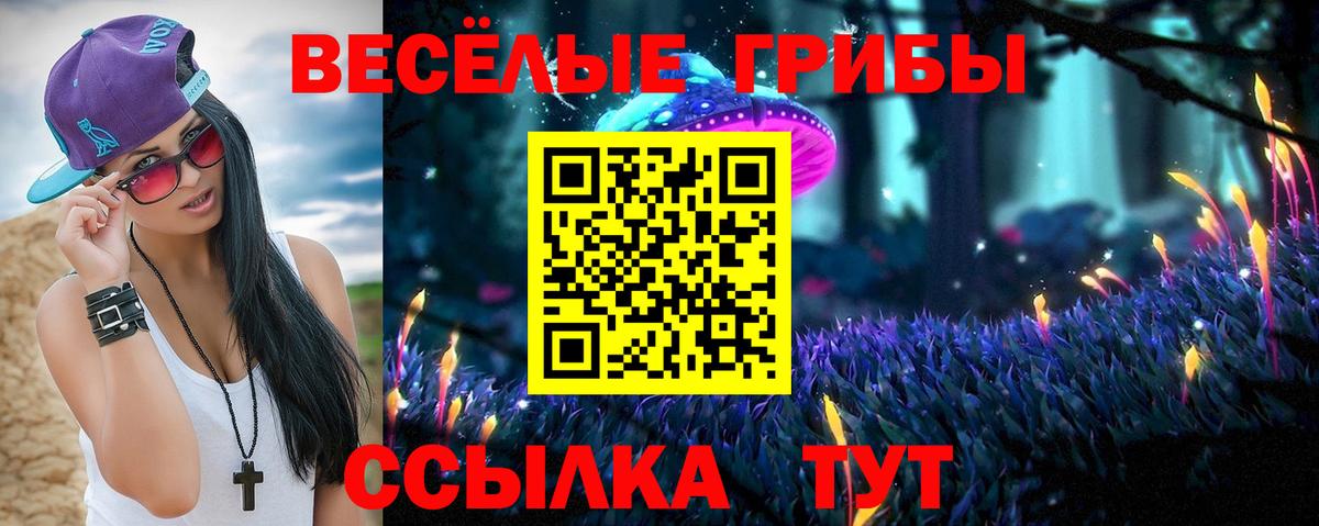 где найти наркотики  Вход с VPN  Зерноград  Псилоцибиновые грибы MAGIC MUSHROOMS 