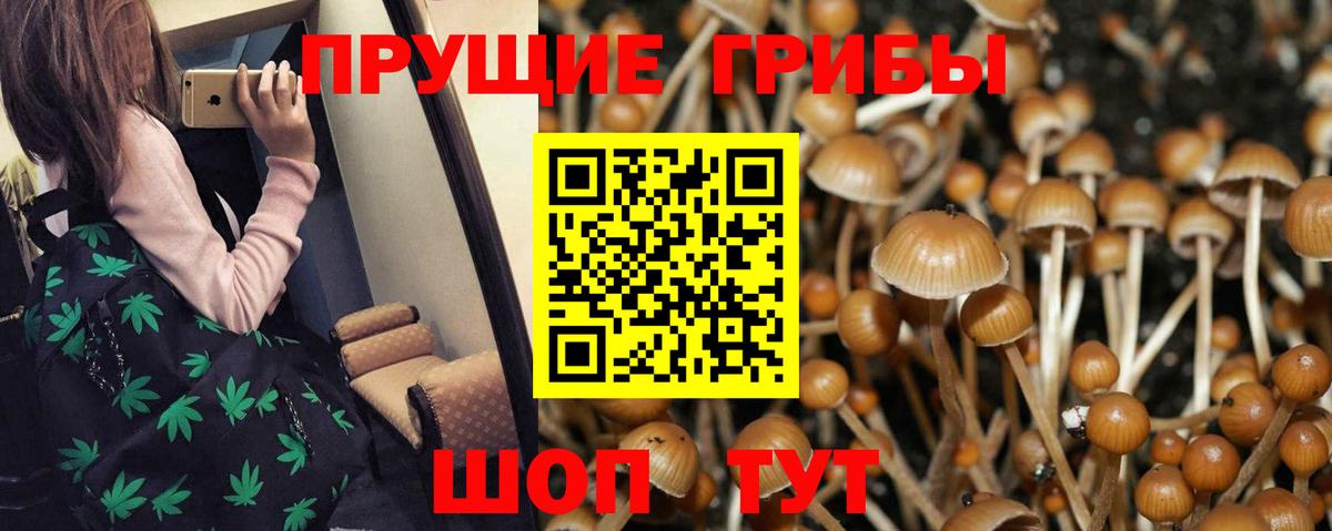 Псилоцибиновые грибы ЛСД Зерноград
